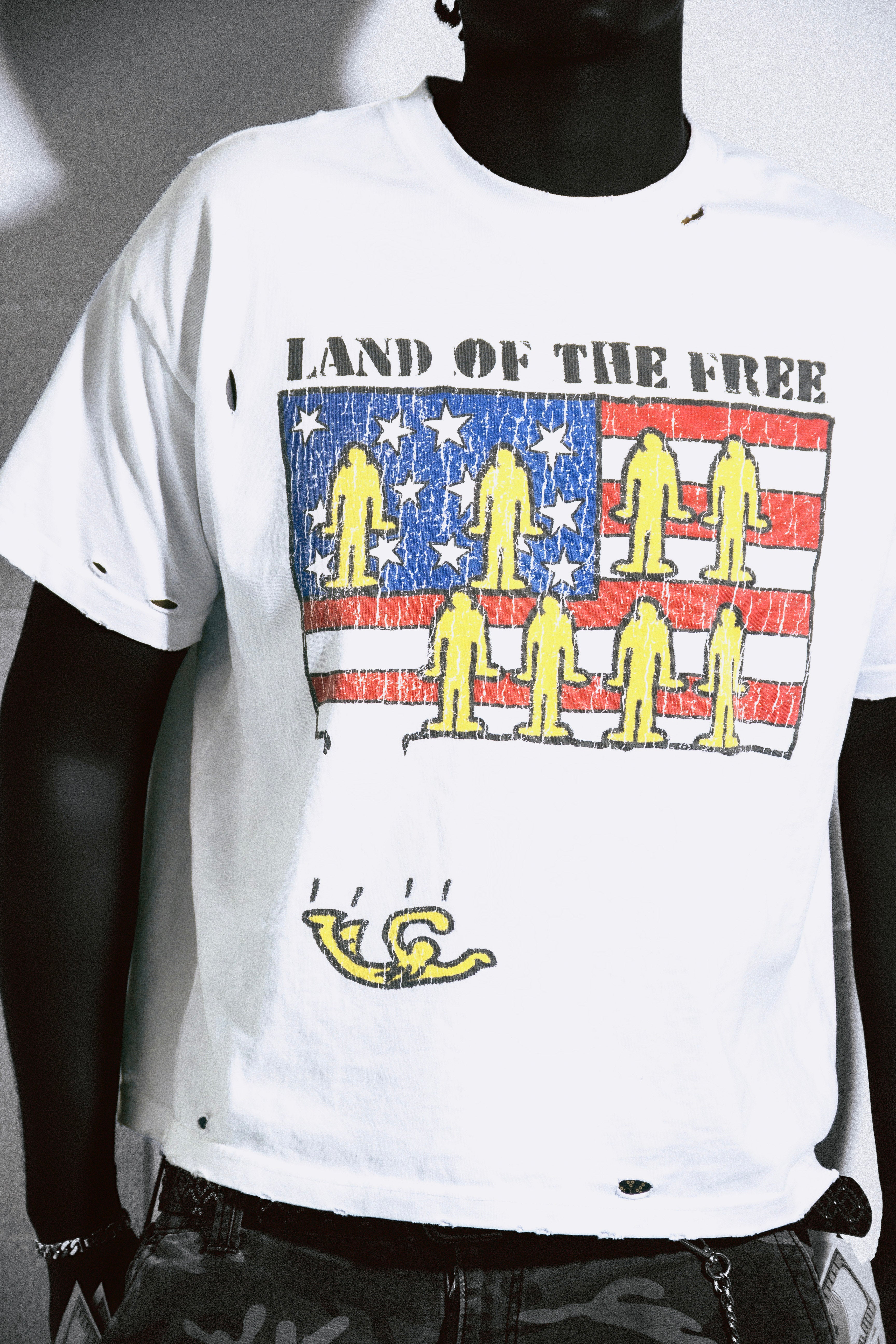 Land of the free tee